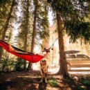 ZERO CAR SHOP 이미지