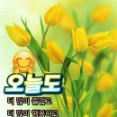 7,28(금).간추린 News 이미지