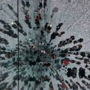 일본 도쿄여행 필수 코스!도쿄 팀랩플래닛 오후 관람 상세후기