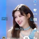 도리도리 이미지