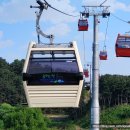 금성크리스탈 | 울진왕피천케이블카 가격 왕복요금 환급 전망뷰 주차장 총정리｜아이와 가볼만한곳 명소 여행코스 차박...