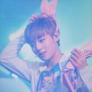 핑크토끼 이미지