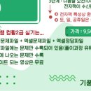 컴퓨터활용능력 2급(실기) | 컴퓨터활용능력 컴활 2급 실기 합격 후기 및 공부법 (기풍쌤)ㅣ1트 합격 (2주)