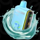 펄스전자 이미지