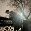 '내란의 밤' 추경호 행적엔 '그들과 한패' 냄새 풀풀 이미지