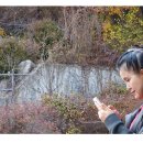 불암사 - 1086 | 불암사