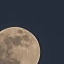 신공주밤생산영농조합 네이버블로그