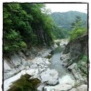 현동정류소 이미지