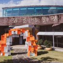 신효동 하귤나무 이미지