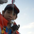 백사장항(대하) 이미지