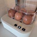㈜한샘생활건강 | 한샘 말하는 계란찜기 내돈내산 후기- 계란 직접 쪄본 솔직리뷰