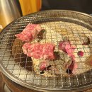 히코