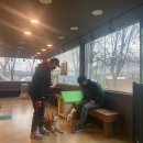 개구쟁이 애견 이미지