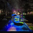 봄빛문화공원중간 | 2026 강서 봄빛페스타 행사 일정 총정리 (feat. 방화근린공원 봄밤 축제 즐기는 법)