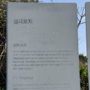 지에스25 제주섭지코지점 | 제주 섭지코지 산책 소요시간 입장료 맛집 3곳 유채꽃 실시간