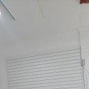 팍스바이시클 이미지