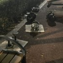 원모어크로스핏 이미지