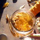 춘식이네 이미지