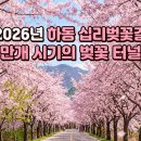 청운카밧데리 | 하동 벚꽃길 여행, 2026 섬진강 십리벚꽃길 코스와 개화시기