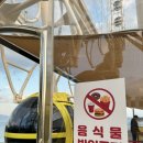 나래관광펜션 | [여수 데이트] 여수 가족여행, 아이와 가볼만한 곳으로 세계 제일 단연1등 '여수 예술랜드' 타워링...