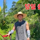 승용 농장 이미지