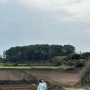 마드레한동 이미지