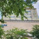 골든메이플관광호텔 | 정선 골든 메이플 관광호텔 가성비좋은 하이원근처 호텔 이용 후기