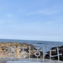 청진마트
