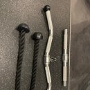 헬스 스타짐 이미지