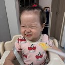만나푸드 - 양산시 | 10개월 아기 분유량 줄이고 후기 이유식 거부 극복한 푸드케어 클레 후기