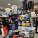 더샤인디테일 이미지