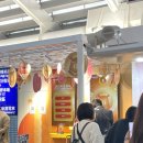 자이주유소 | 4박 5일 대만 여행 : 렌터카로 아리산 일출 사냥, 삼림열차, 우롱차 먹고 쩌우족 숙소 탐방기