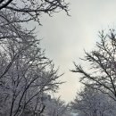 청풍레이크카라반 이미지