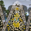 더품 Daum카페