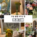 봄향기 | 오송 꽃집 마리스플라워 프리지아 향기로 봄을 들여온 후기
