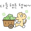 스페이스 펜션 이미지