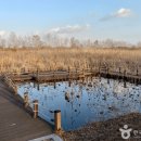 생태예술한옥마을 이미지