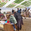 대비농장2 이미지