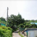성안농장 Daum카페
