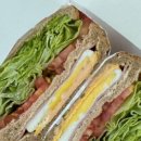 프로피티 이미지