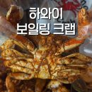 위뱅아트윅스 | 하와이맛집 추천, 카카아코에서 즐긴 보일링크랩 해산물 맛집 후기