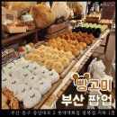 대벌포장스탠드 | 롯데백화점 광복점 팝업 스토어 : 부산 빵고미 팝업 기간, 굿즈, 키링 가격 방문 후기
