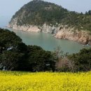 하화도 꽃섬길 이미지