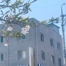 상일로 | 상일동 필라테스 서온 고덕 프라이빗 1:1 체험 후기