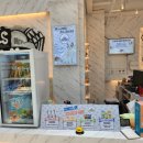 브룩스 캣 카페 이미지