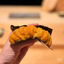 더(the)스시 | 도쿄 롯폰기 신상 스시 오마카세 가성비 맛집 "The Sushi Ryouken 더 스시 료켄" 내돈내산 추천 후기