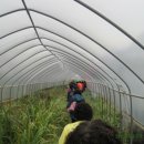 김종만농장 이미지