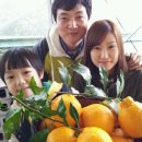 준서네 농장 이미지