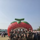 레인보우로드 | 논산딸기축제 로드퍼레이드 공연 후기 | 레인보우치어 공연팀 섭외 문의