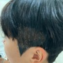 충인미용실 네이버블로그
